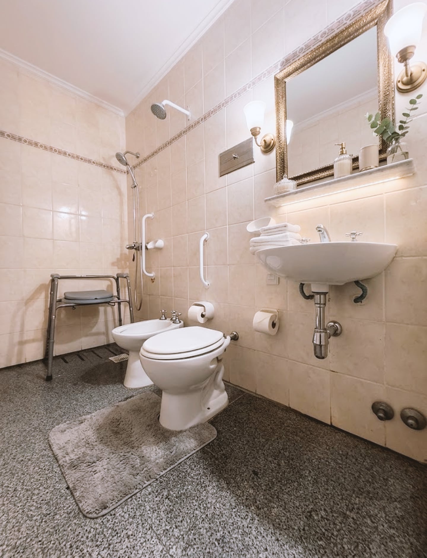 Baño adaptado con barras de apoyo y silla de ducha