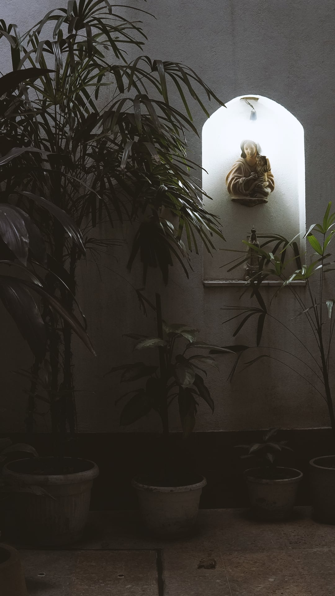 Imagen de la Virgen en una hornacina del patio, entre plantas